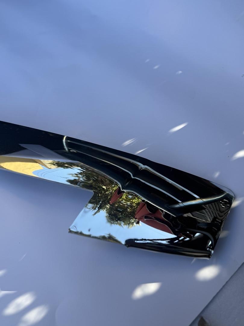 19172571 | 2007 cadillac escalade Molded Hood Protector,Material:Chrome