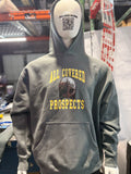 All Covered Prospects Official Cotton Hoodie