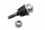 Exact catalog photo of GM part 19256481