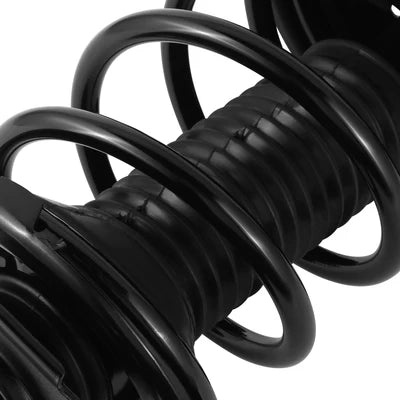 01-04 Toyota RAV4 Front Left And Right Struct Shocks / Shock Absorbers Struts 4Pcs Black