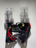 H11 10000K PAIR OF LIGHT BULBS (BULBS ONLY NO BALLASTS)