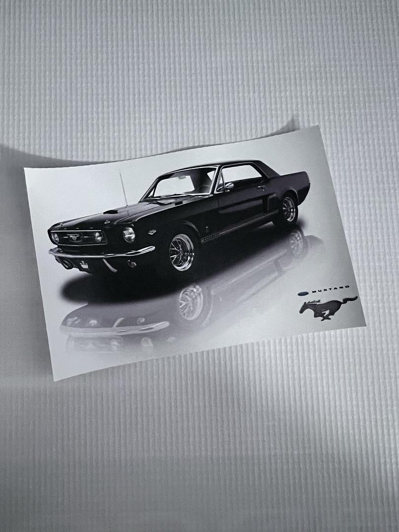 Ford Mustang Vinyl Sticker