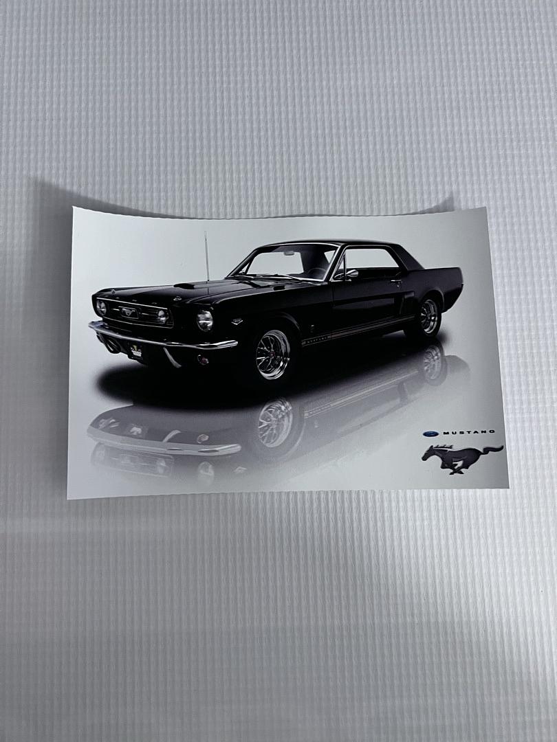 Ford Mustang Vinyl Sticker