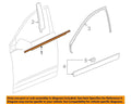 Cadillac GM OEM Front Door Window Sweep-Belt Molding Weatherstrip Right