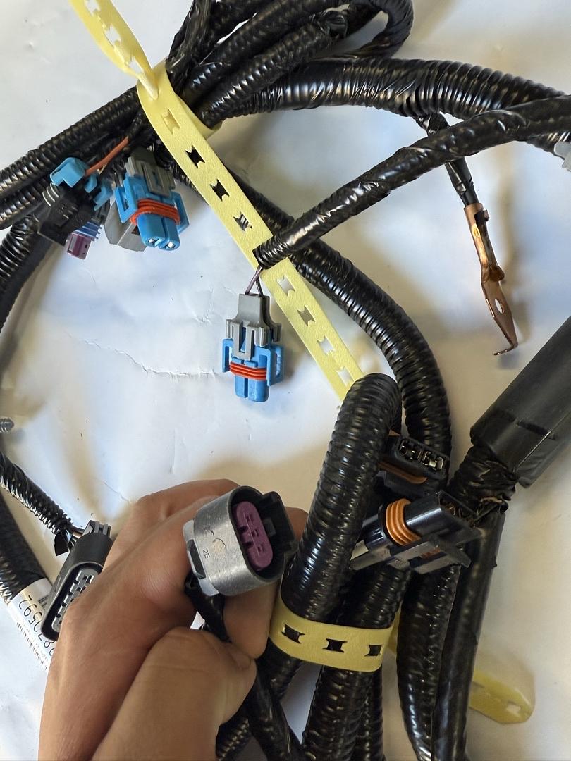 22870592 | 2012-2016 Chevrolet Impala Fwd Lamp Wiring Harness Assembly